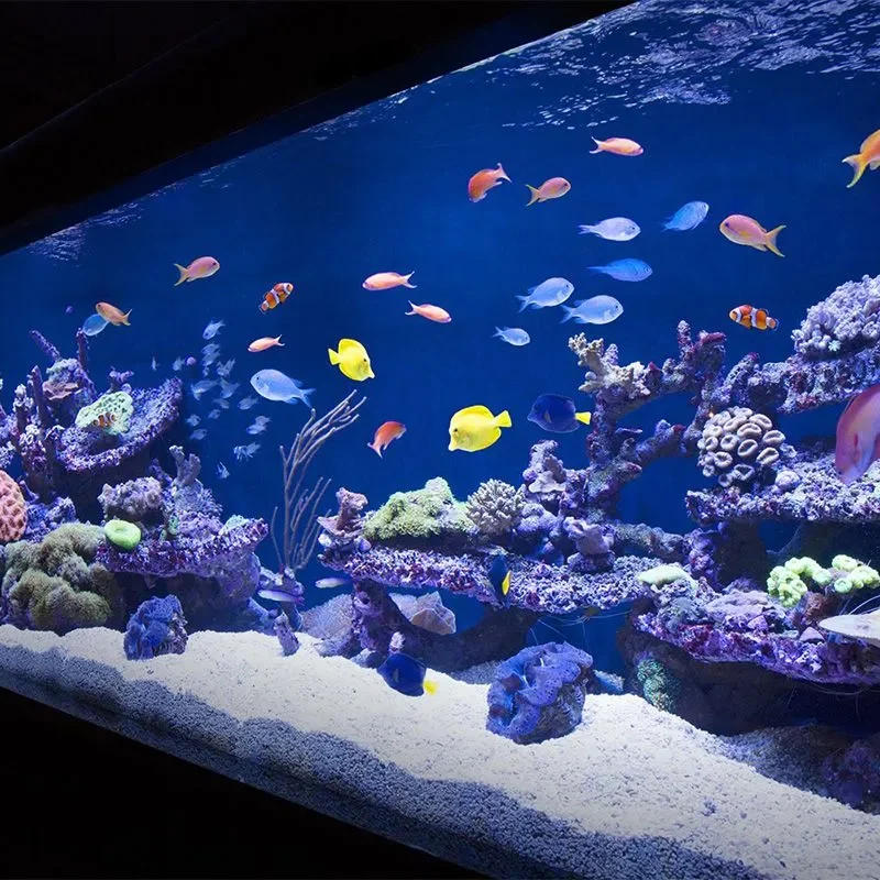 Aquarium design