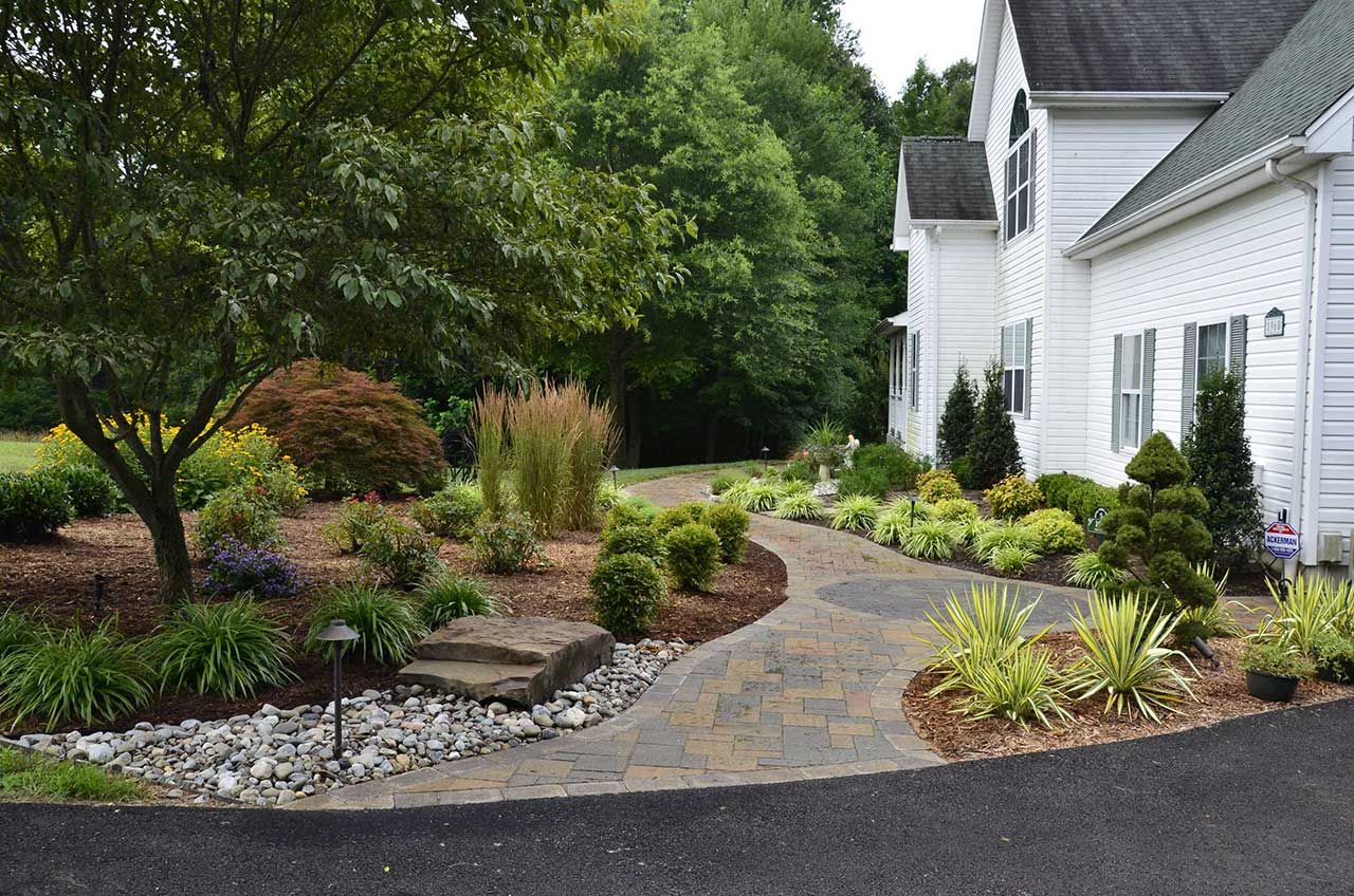 What is Sustainable Landscaping, and What are its Solutions?