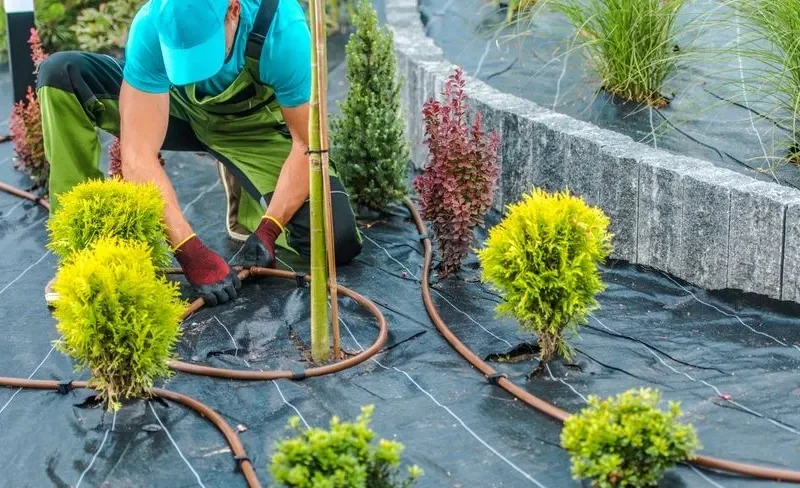 What are the Most Important Things in Landscaping?