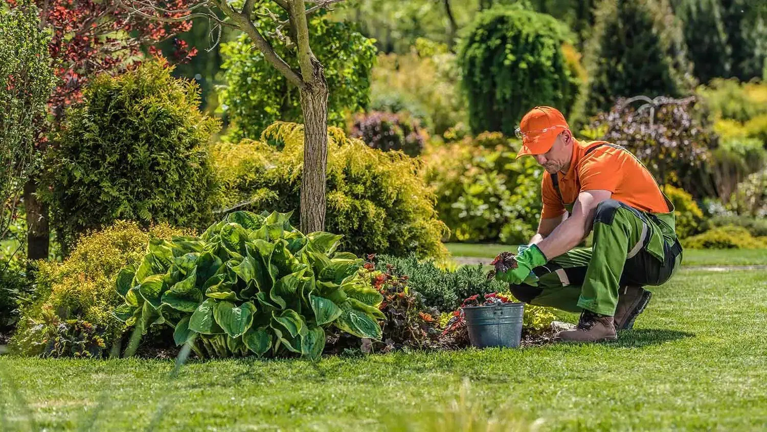 Gardening vs. Landscaping – Difference and Comparison