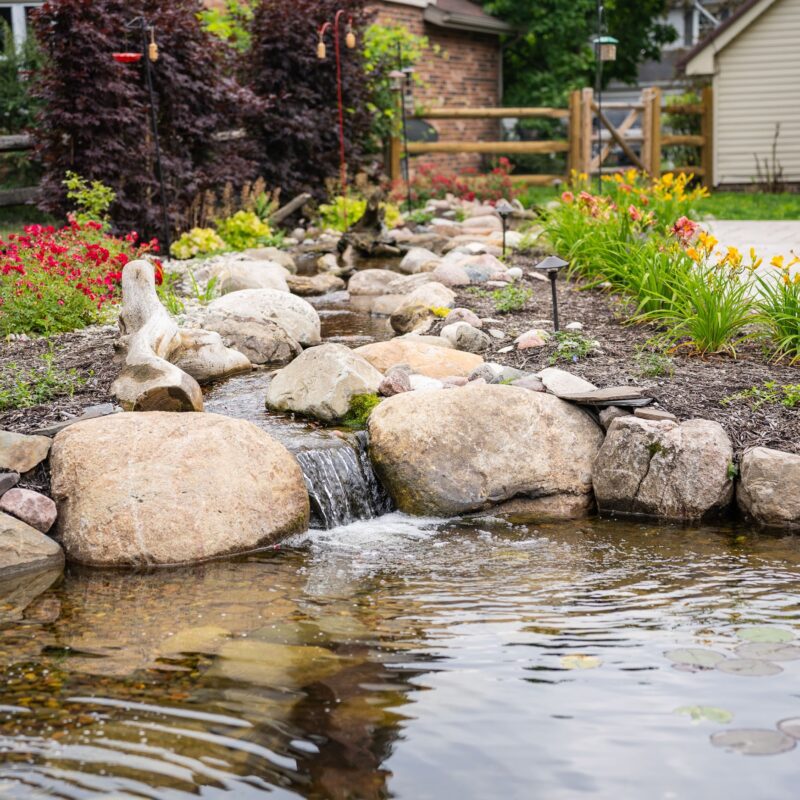 koi pond builders
