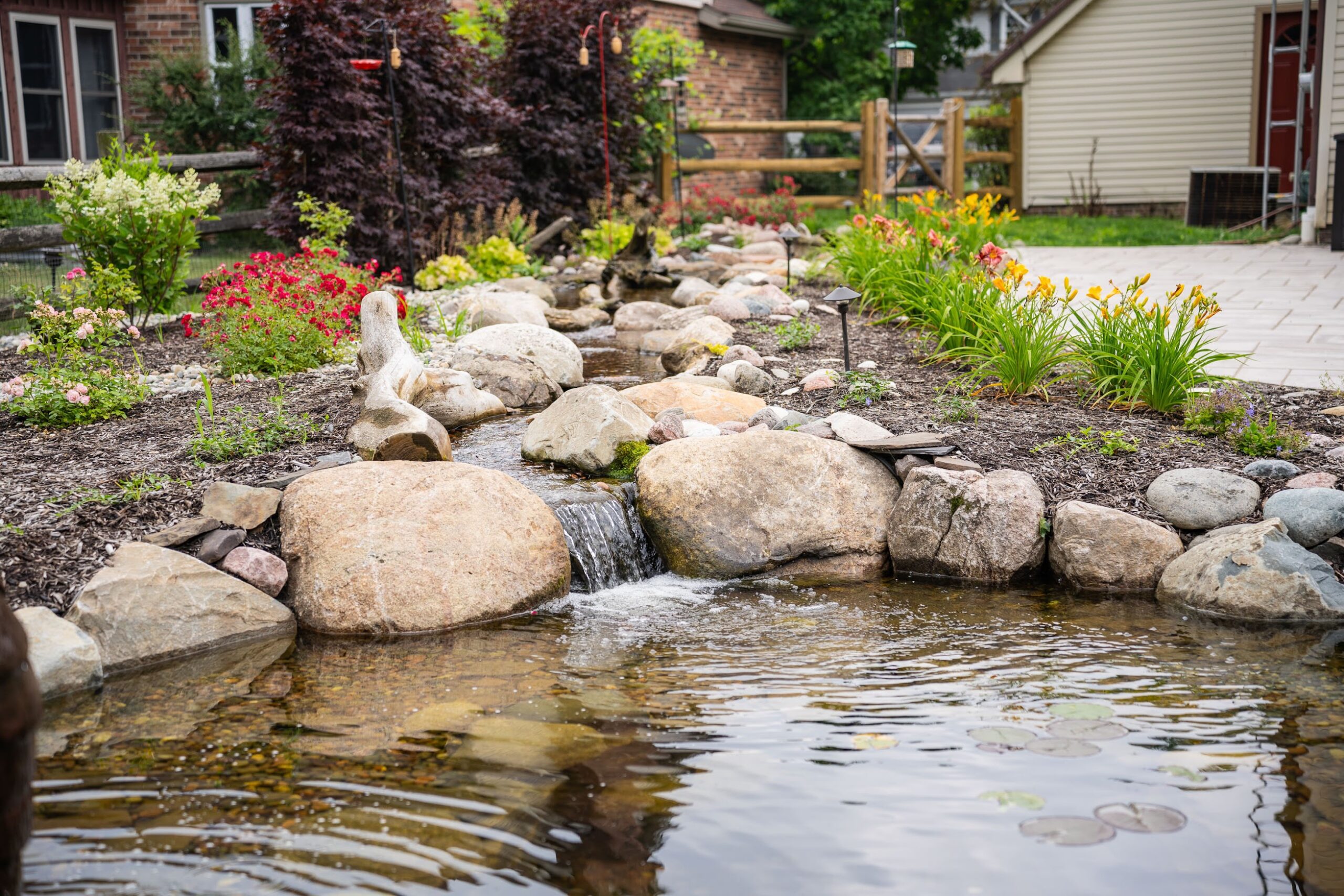 How Koi Pond Builders Create a Living Ecosystem That Sustains Itself in Your Backyard